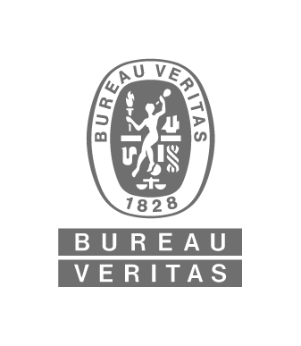 337px Logo BV RGB GRAY (transparent Background)